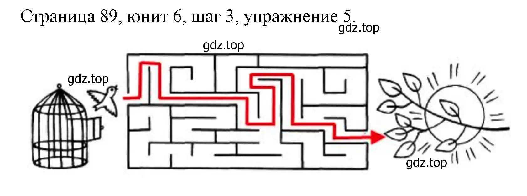 Решение номер 5 (страница 89) гдз по английскому языку 3 класс Афанасьева, Михеева, рабочая тетрадь