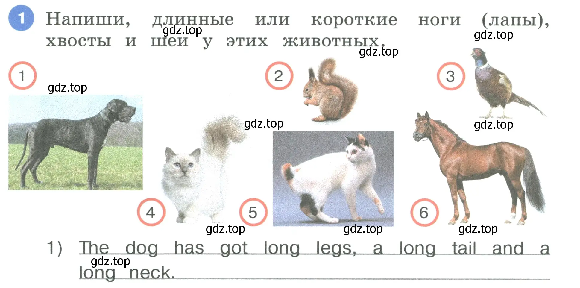 Условие номер 1 (страница 12) гдз по английскому языку 3 класс Афанасьева, Баранова, рабочая тетрадь 1 часть