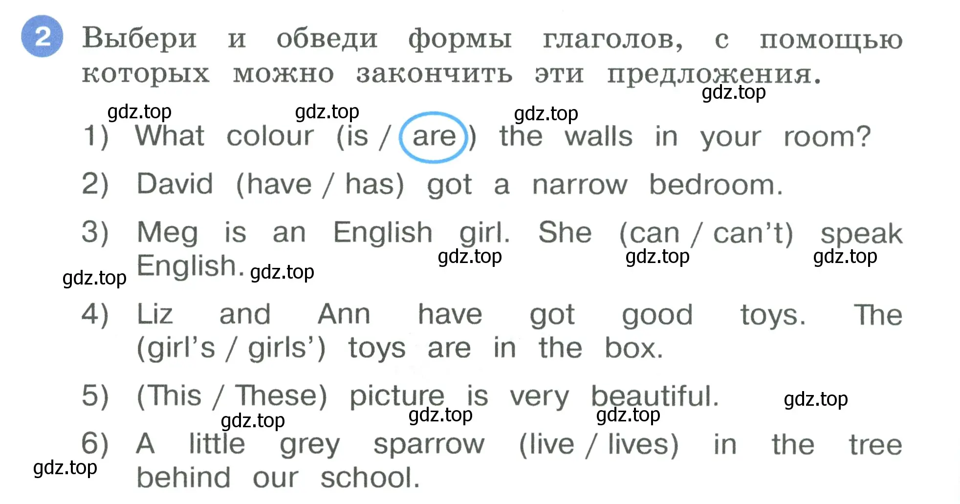 Условие номер 2 (страница 24) гдз по английскому языку 3 класс Афанасьева, Баранова, рабочая тетрадь 1 часть