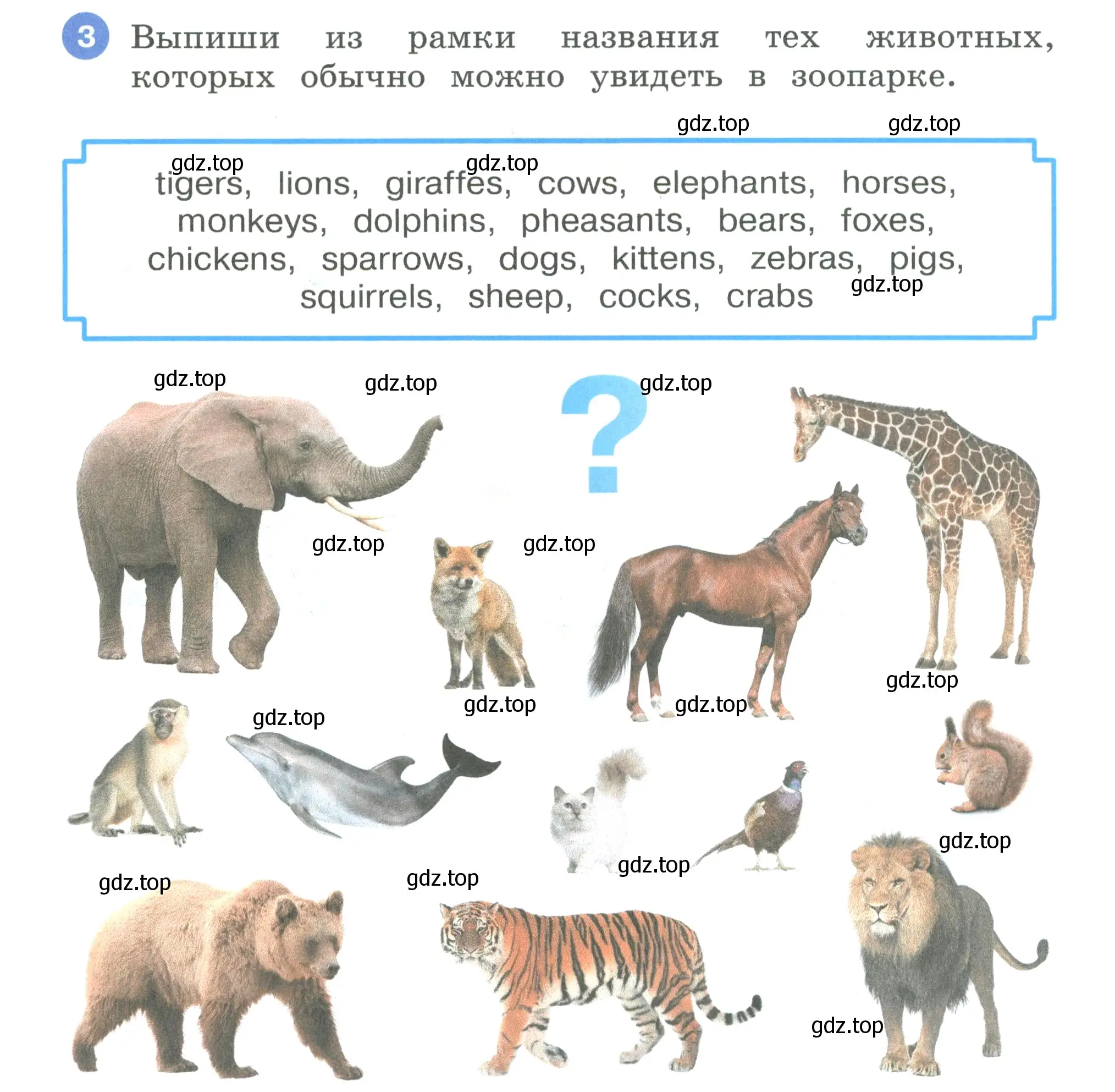 Условие номер 3 (страница 60) гдз по английскому языку 3 класс Афанасьева, Баранова, рабочая тетрадь 1 часть