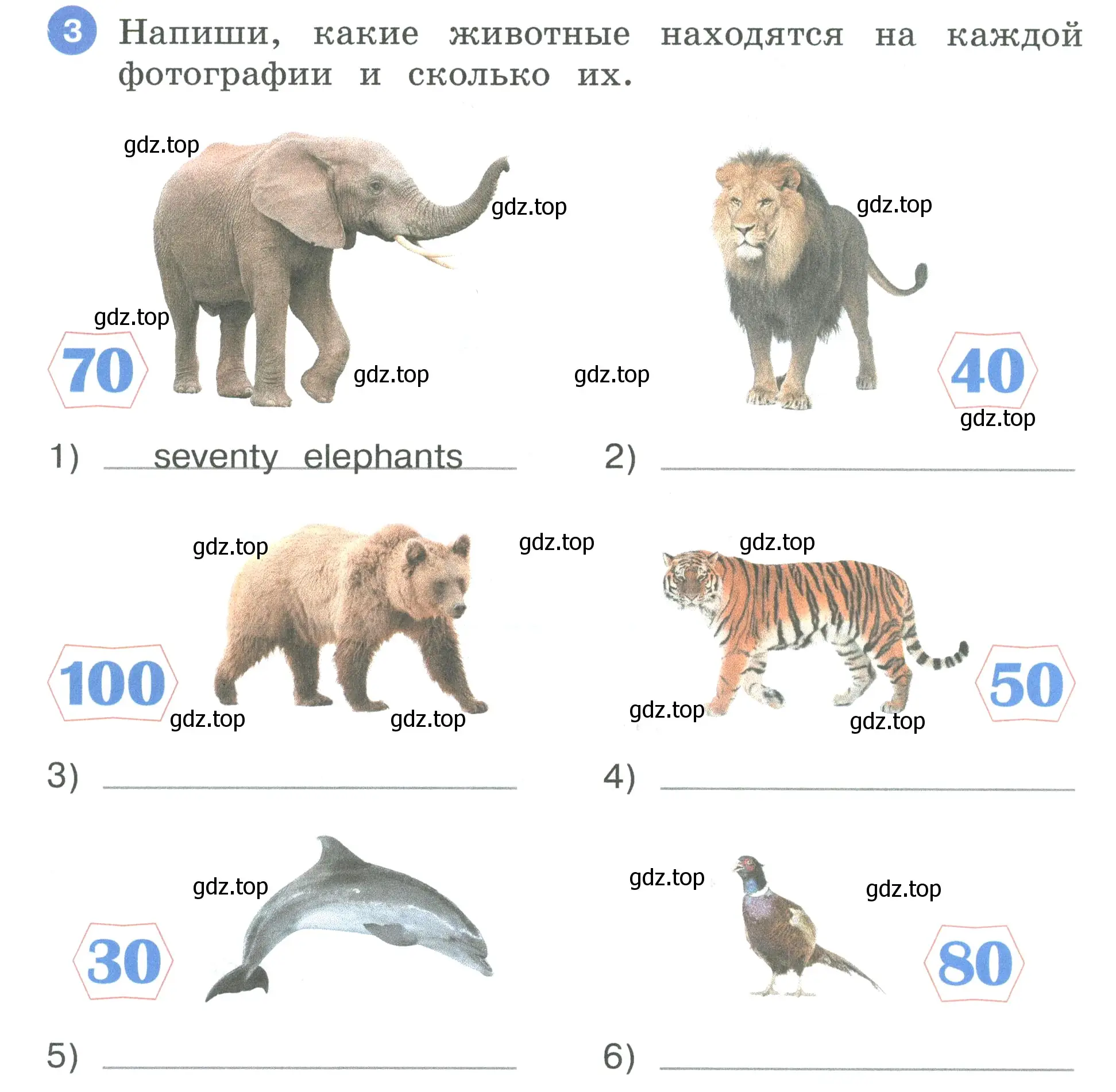 Условие номер 3 (страница 28) гдз по английскому языку 3 класс Афанасьева, Баранова, рабочая тетрадь 2 часть