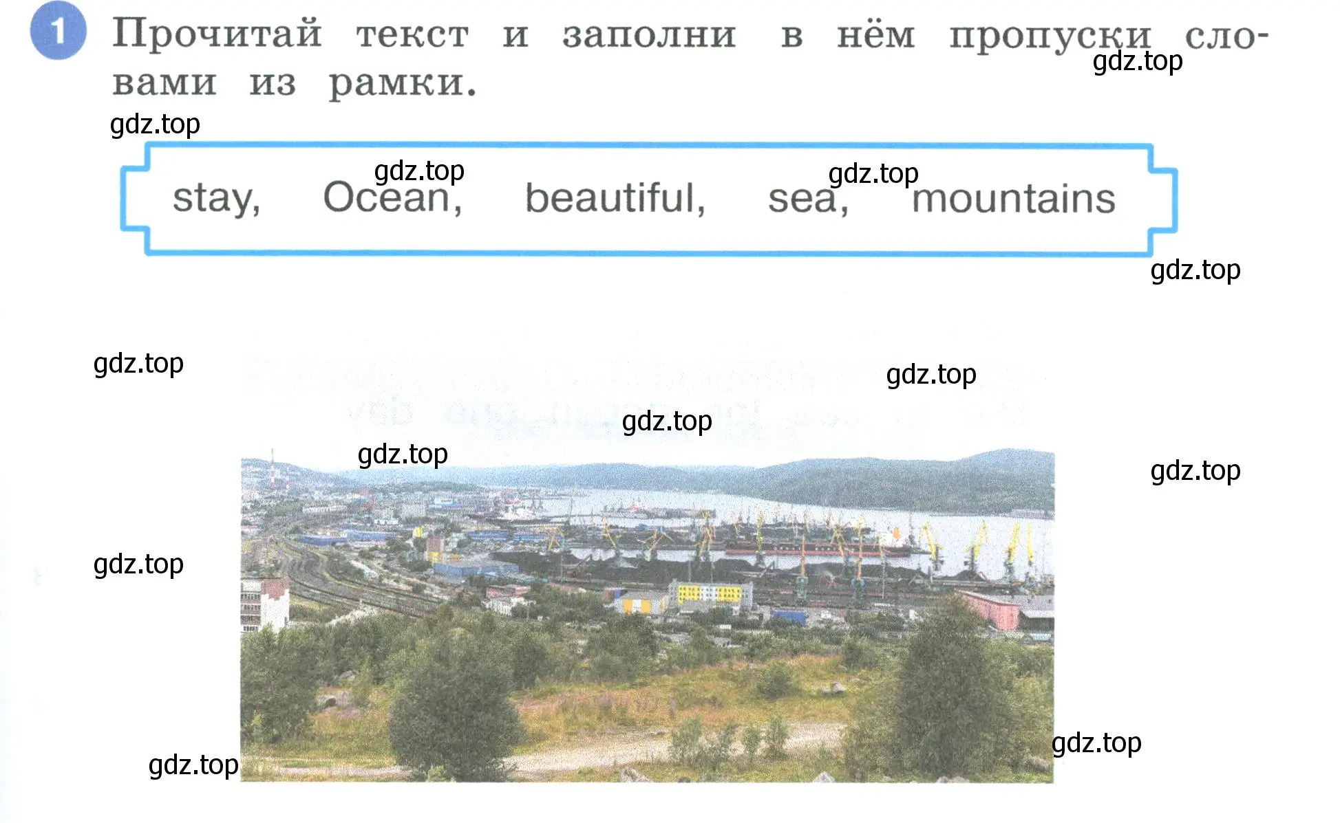 Условие номер 1 (страница 65) гдз по английскому языку 3 класс Афанасьева, Баранова, рабочая тетрадь 2 часть