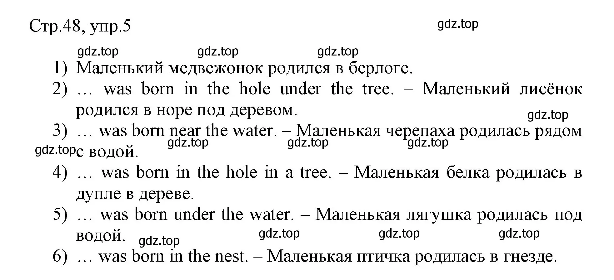 Решение номер 5 (страница 48) гдз по английскому языку 3 класс Афанасьева, Баранова, рабочая тетрадь 2 часть