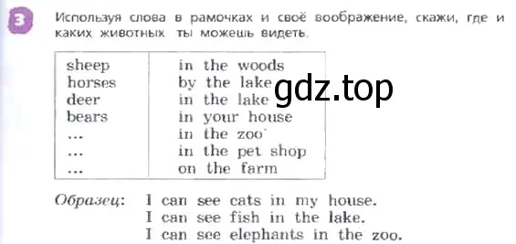 Условие номер 3 (страница 49) гдз по английскому языку 3 класс Афанасьева, Михеева, учебник 2 часть