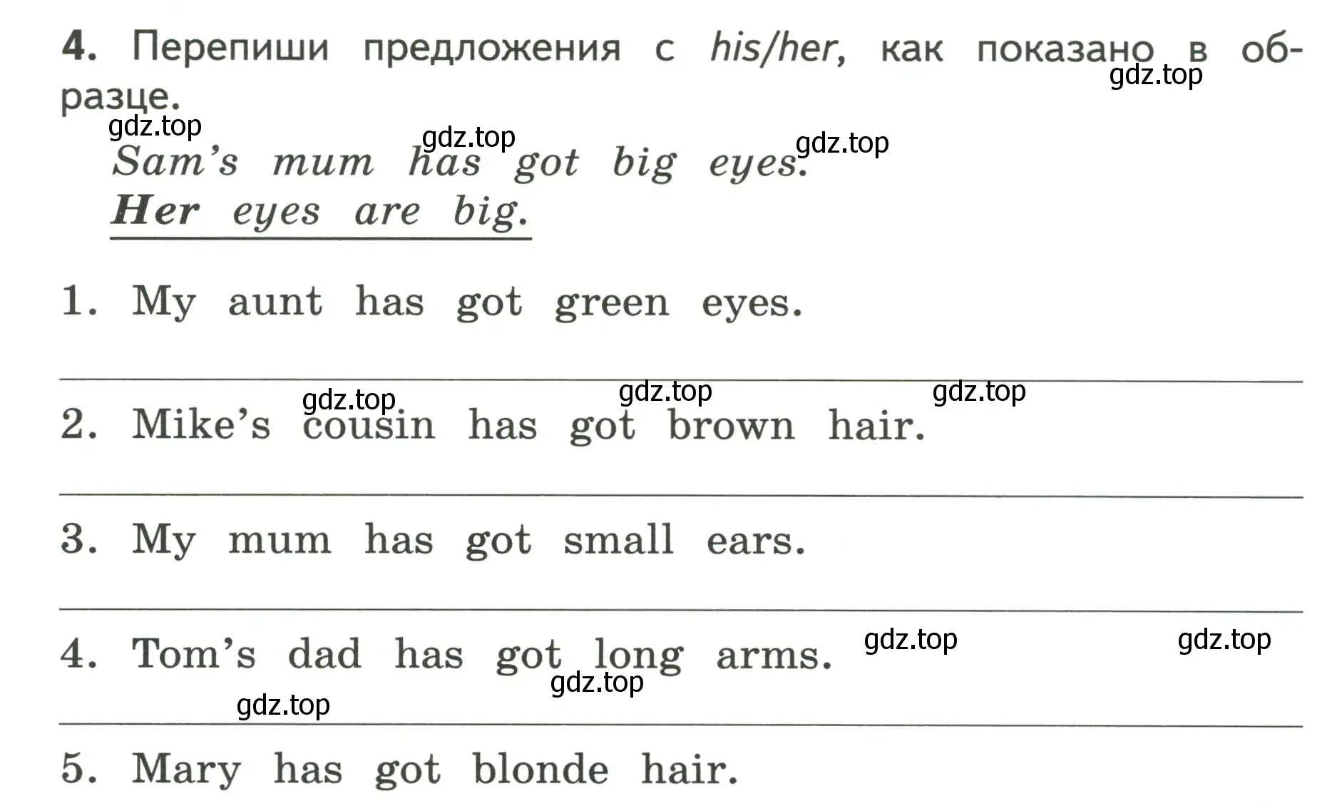 Условие номер 4 (страница 17) гдз по английскому языку 3 класс Смирнов, тетрадь-экзаменатор