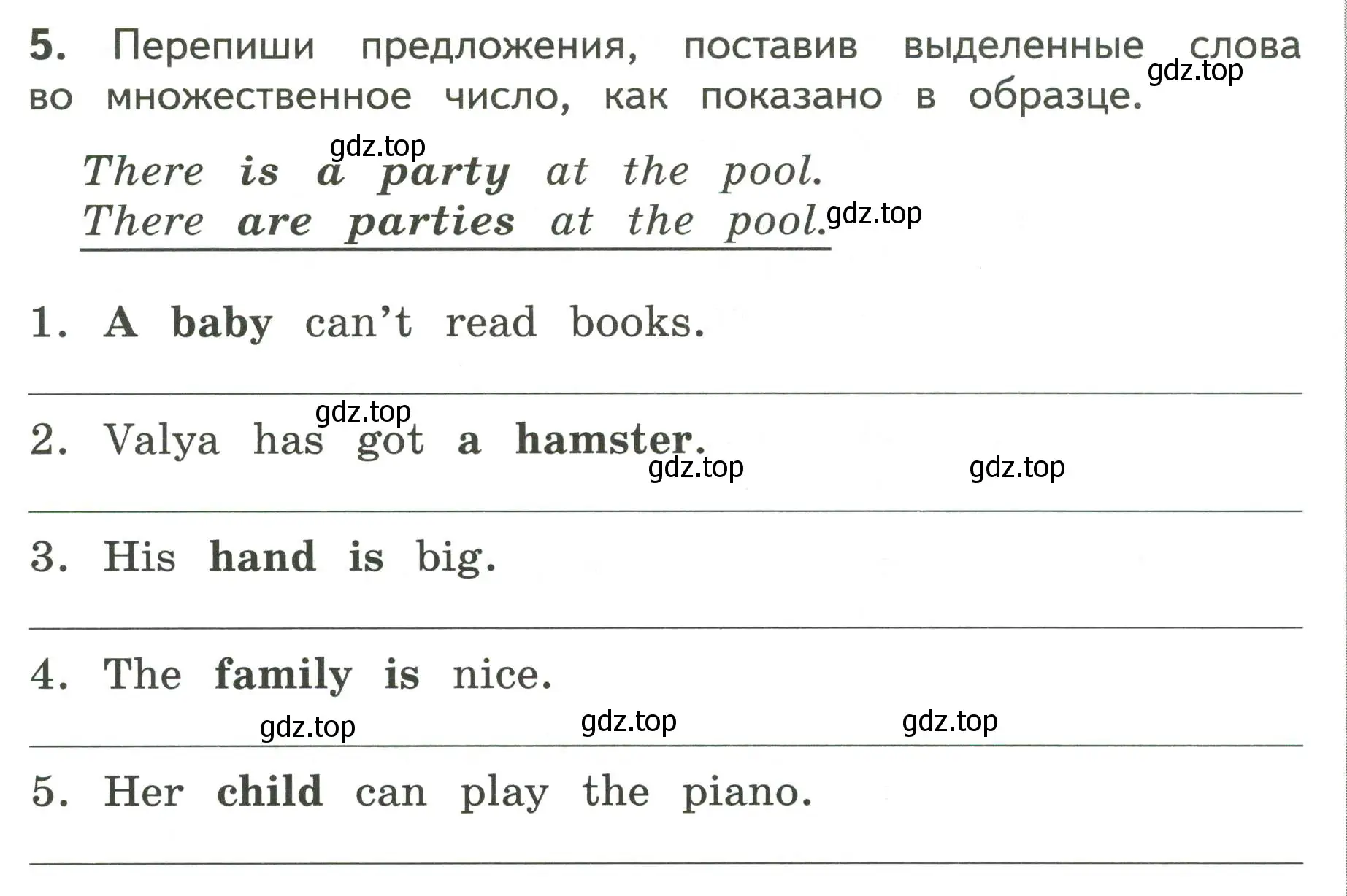 Условие номер 5 (страница 24) гдз по английскому языку 3 класс Смирнов, тетрадь-экзаменатор