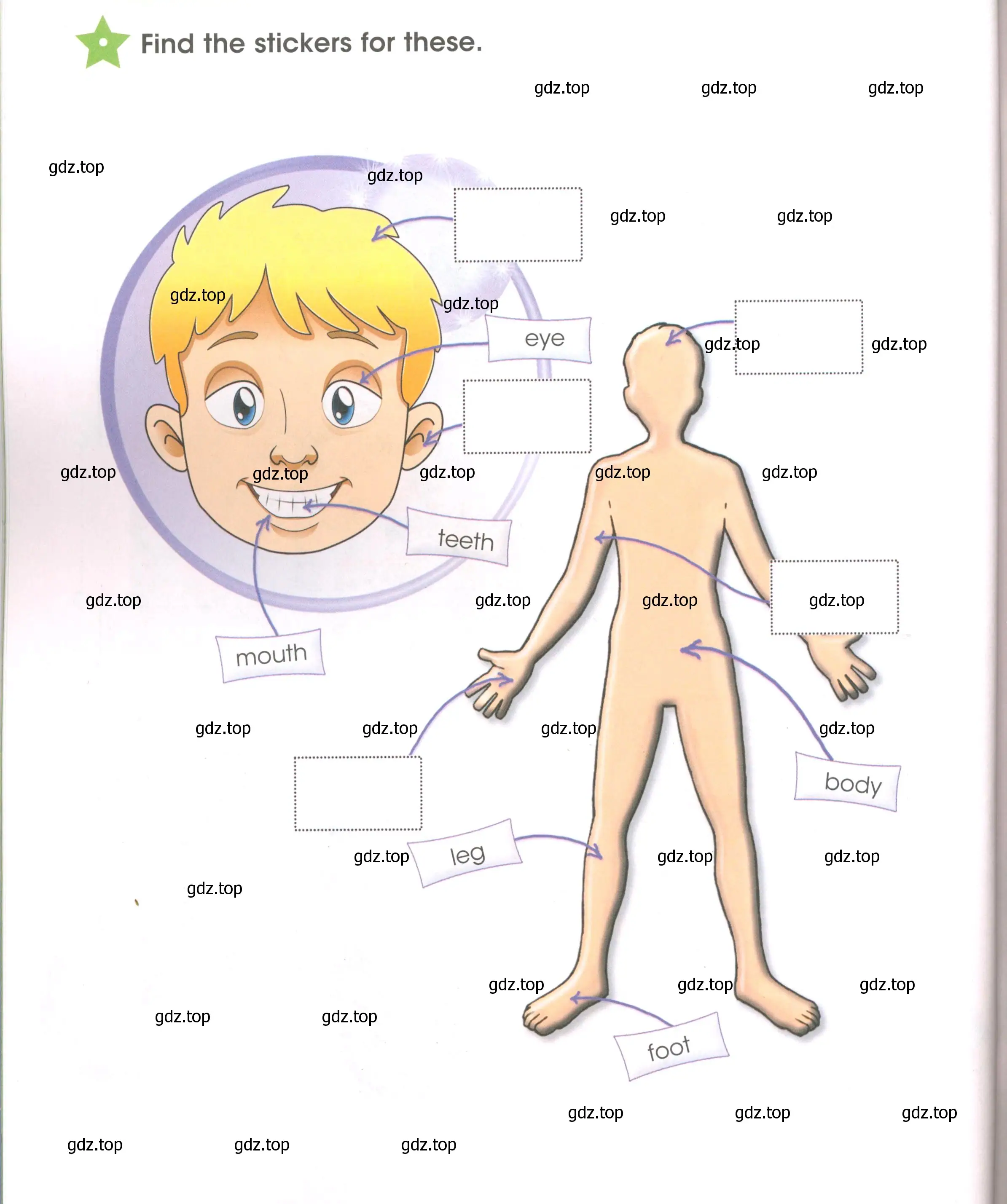 Условие  My facc/My body (страница 66) гдз по английскому языку 3 класс Баранова, Дули, рабочая тетрадь 1 часть