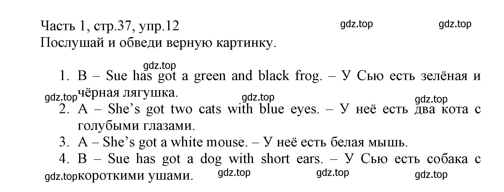 Решение номер 12 (страница 37) гдз по английскому языку 3 класс Баранова, Дули, рабочая тетрадь 1 часть