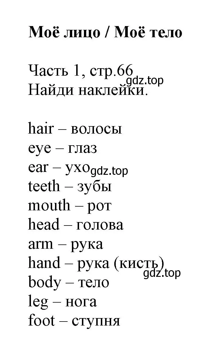 Решение  My facc/My body (страница 66) гдз по английскому языку 3 класс Баранова, Дули, рабочая тетрадь 1 часть