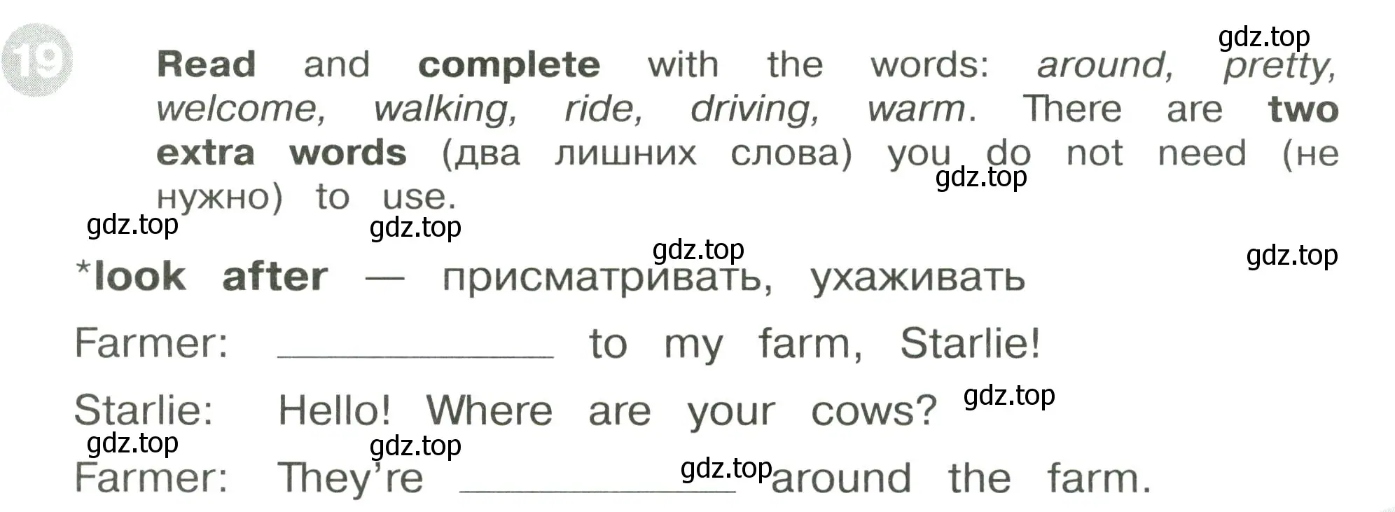 Условие номер 19 (страница 23) гдз по английскому языку 3 класс Котова, сборник упражнений