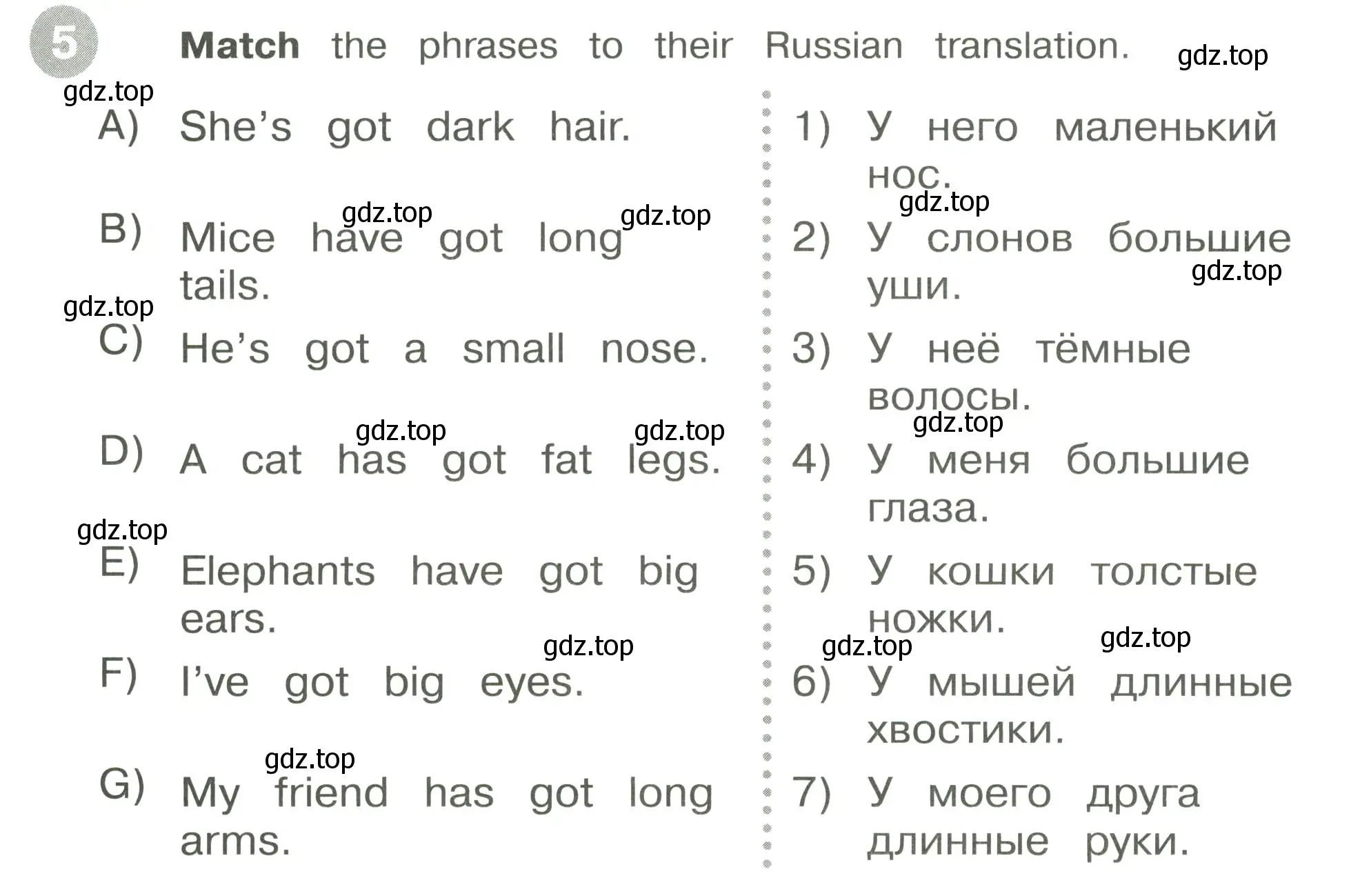 Условие номер 5 (страница 37) гдз по английскому языку 3 класс Котова, сборник упражнений