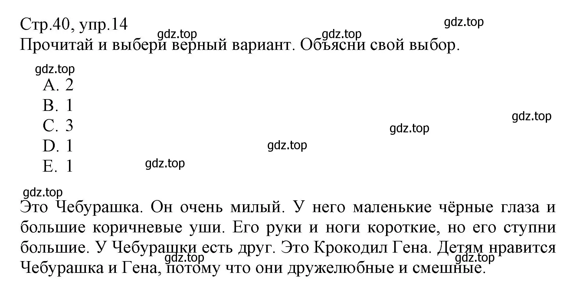 Решение номер 14 (страница 40) гдз по английскому языку 3 класс Котова, сборник упражнений