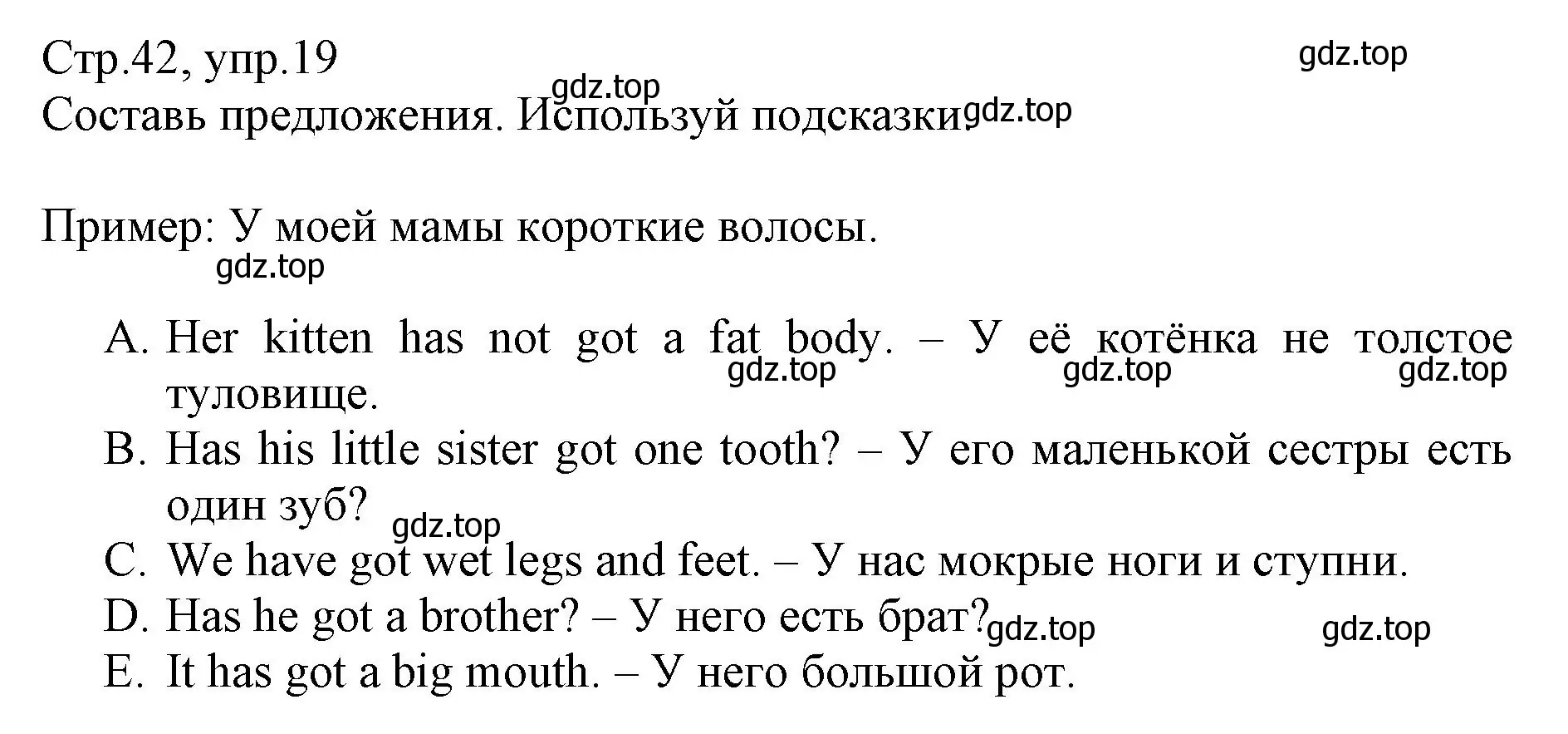 Решение номер 19 (страница 42) гдз по английскому языку 3 класс Котова, сборник упражнений