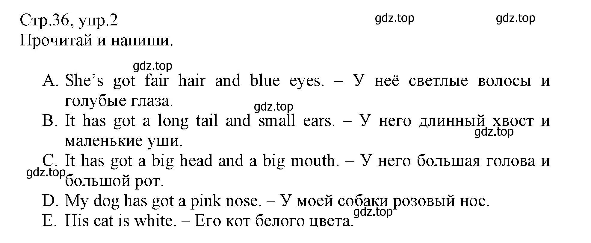 Решение номер 2 (страница 36) гдз по английскому языку 3 класс Котова, сборник упражнений