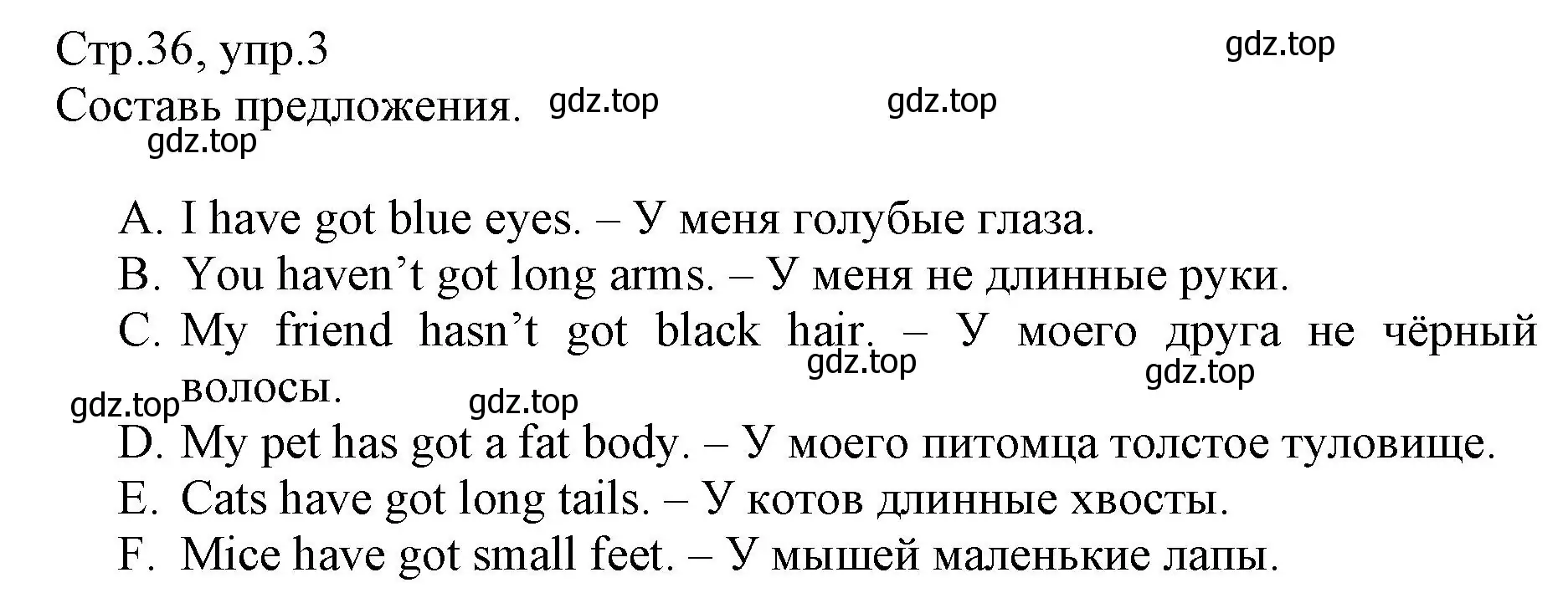 Решение номер 3 (страница 36) гдз по английскому языку 3 класс Котова, сборник упражнений