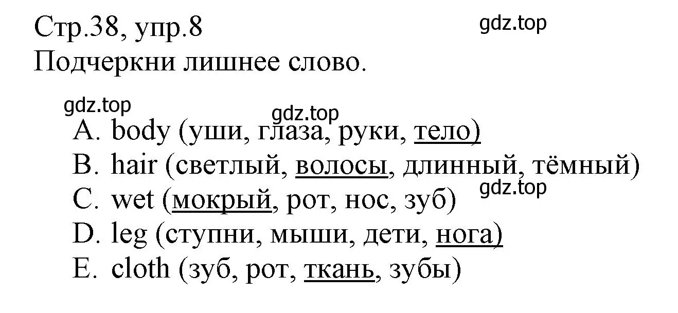 Решение номер 8 (страница 38) гдз по английскому языку 3 класс Котова, сборник упражнений