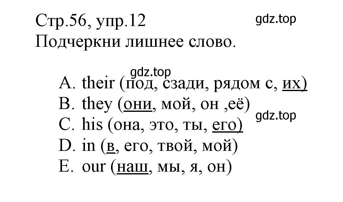 Решение номер 12 (страница 56) гдз по английскому языку 3 класс Котова, сборник упражнений