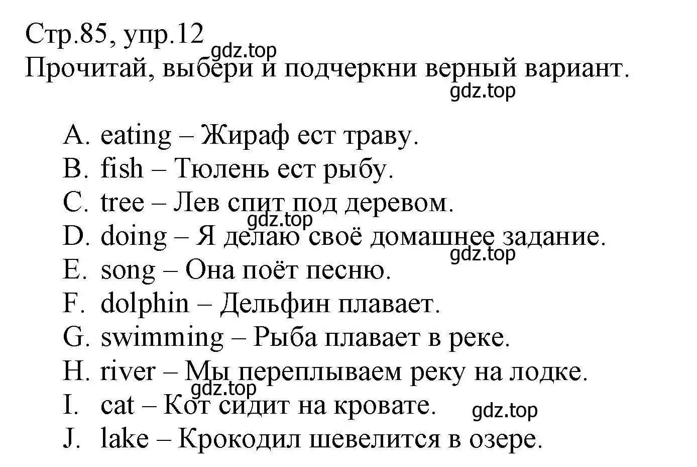 Решение номер 12 (страница 85) гдз по английскому языку 3 класс Котова, сборник упражнений