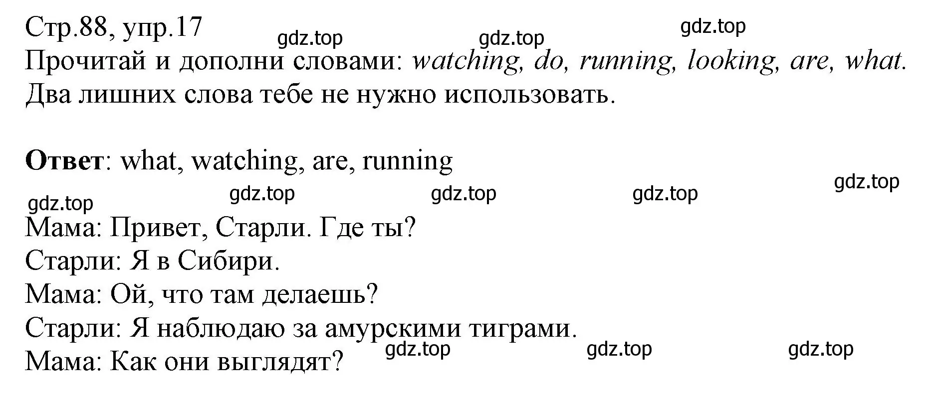 Решение номер 17 (страница 88) гдз по английскому языку 3 класс Котова, сборник упражнений