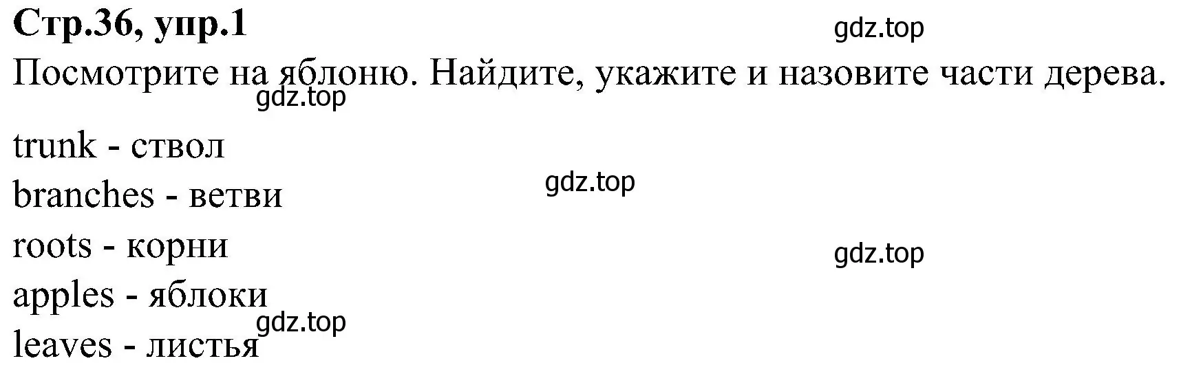 Решение номер 1 (страница 36) гдз по английскому языку 3 класс Баранова, Дули, учебник 1 часть