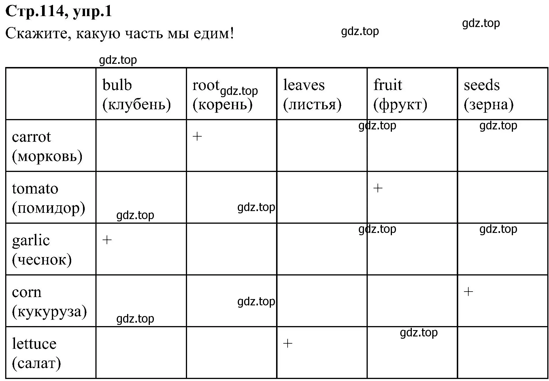 Решение номер 1 (страница 114) гдз по английскому языку 3 класс Баранова, Дули, учебник 2 часть