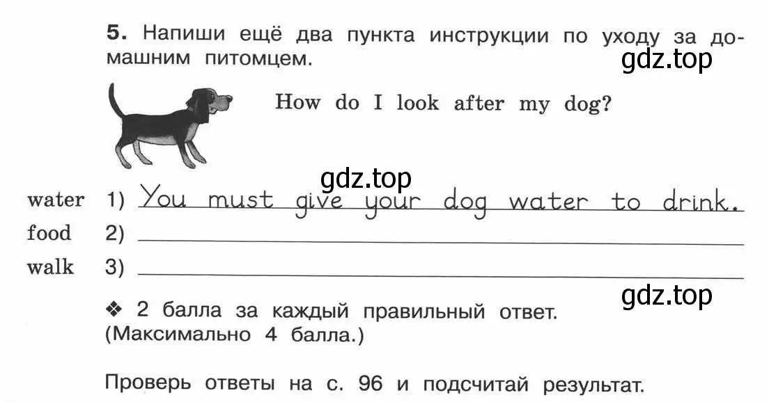 Условие номер 5 (страница 92) гдз по английскому языку 3 класс Вербицкая, Эббс, рабочая тетрадь