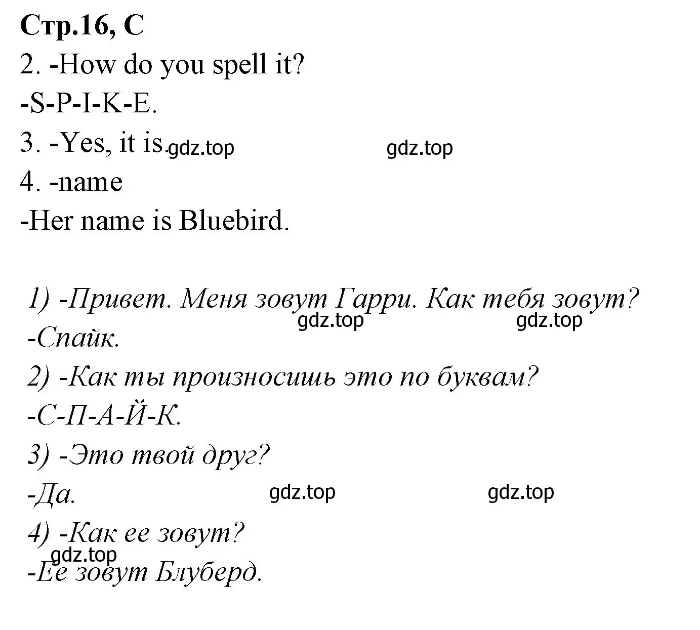 Решение номер C (страница 16) гдз по английскому языку 3 класс Вербицкая, Эббс, рабочая тетрадь