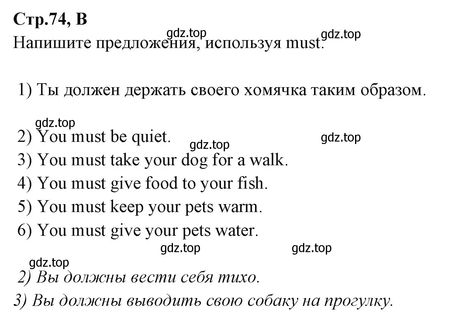 Решение номер B (страница 74) гдз по английскому языку 3 класс Вербицкая, Эббс, рабочая тетрадь