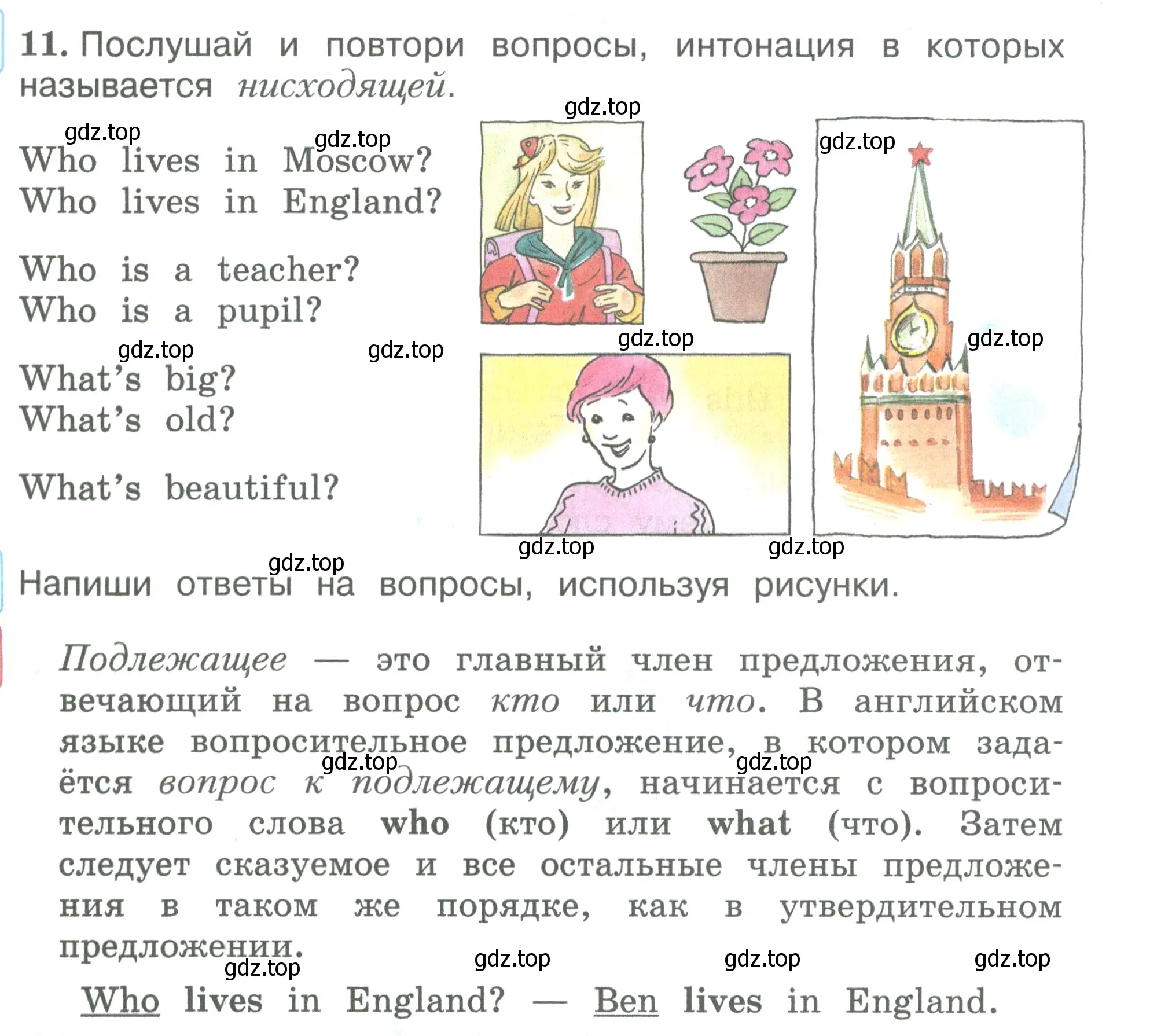 Условие номер 11 (страница 25) гдз по английскому языку 3 класс Вербицкая, Эббс, учебник 1 часть