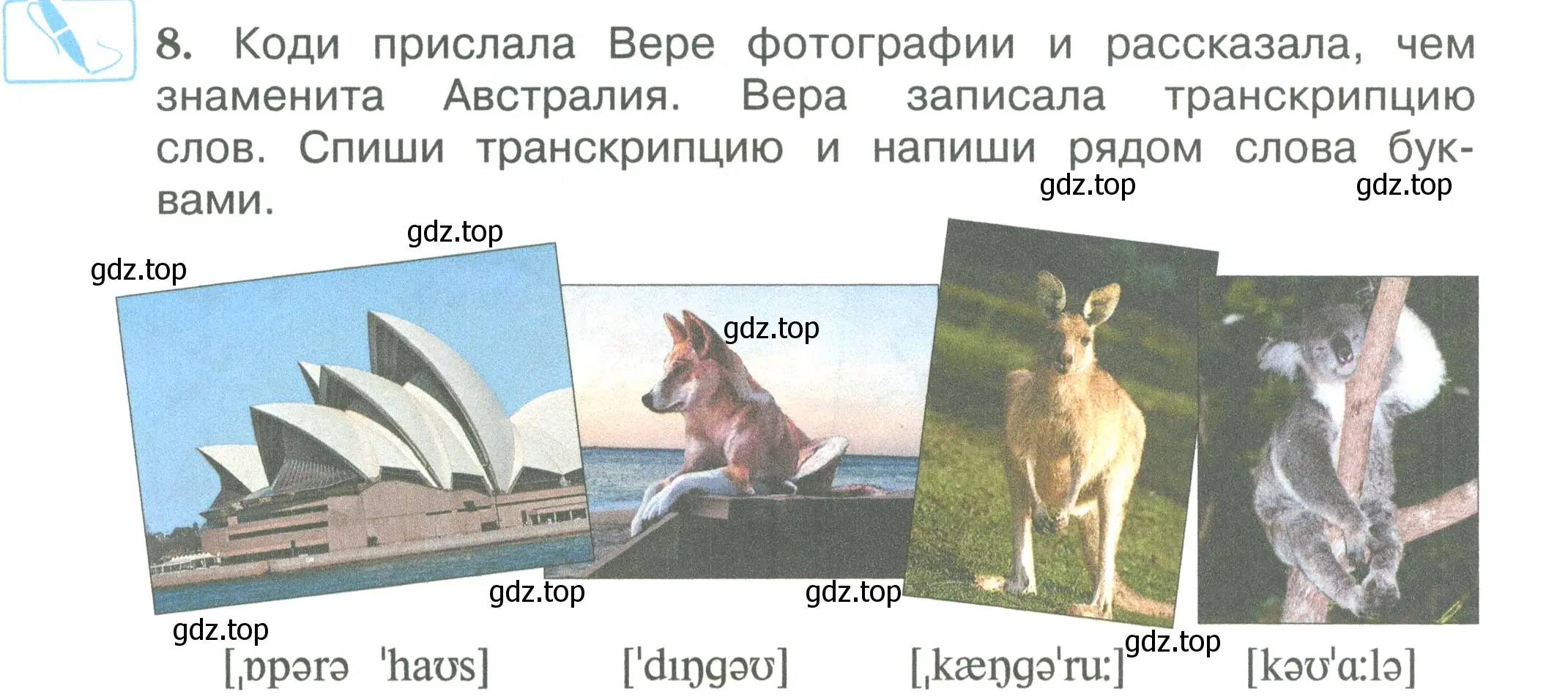 Условие номер 8 (страница 24) гдз по английскому языку 3 класс Вербицкая, Эббс, учебник 1 часть