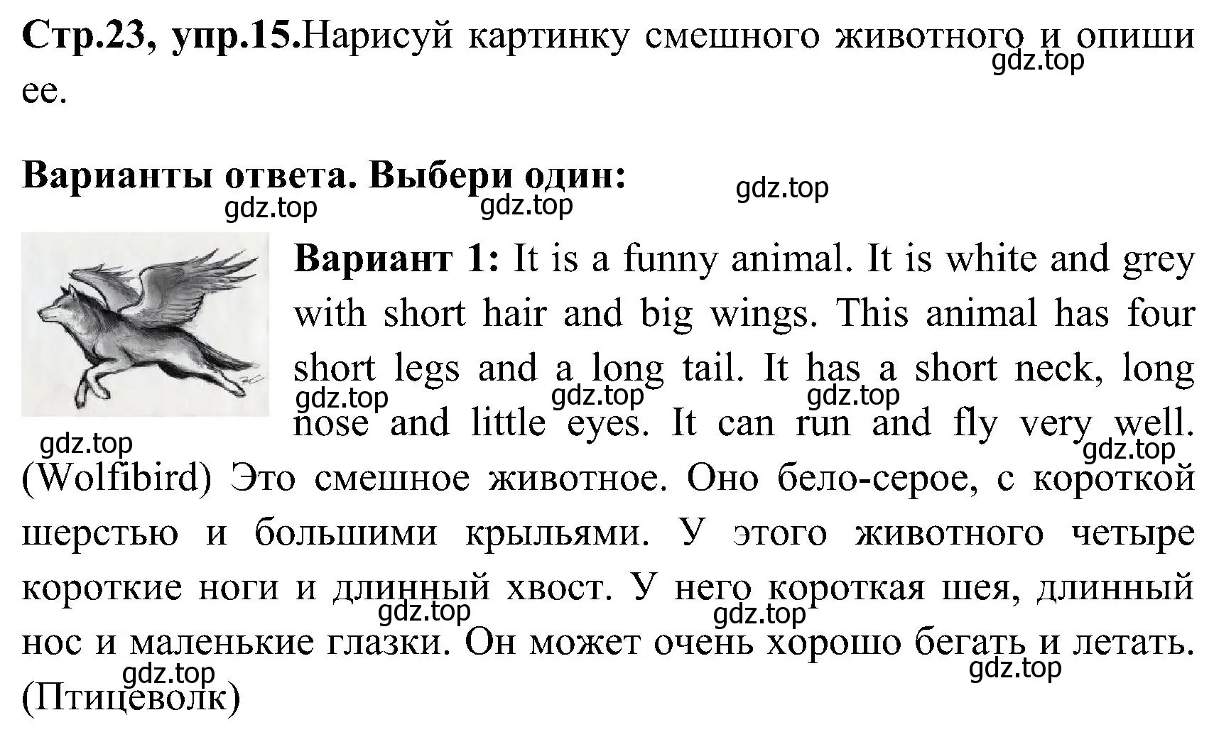 Решение номер 15 (страница 23) гдз по английскому языку 3 класс Верещагина, Притыкина, рабочая тетрадь