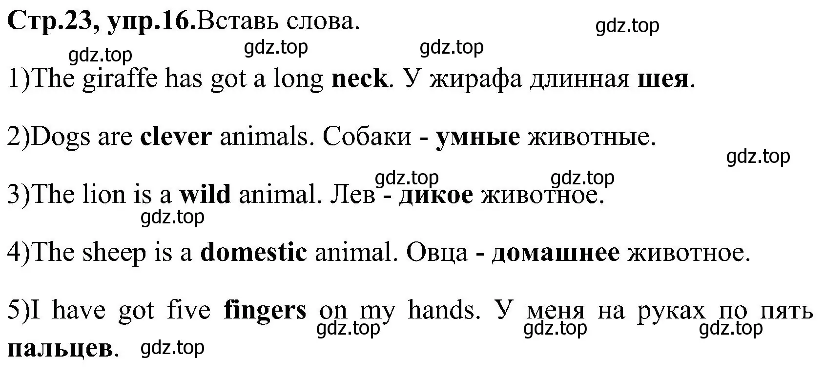 Решение номер 16 (страница 23) гдз по английскому языку 3 класс Верещагина, Притыкина, рабочая тетрадь