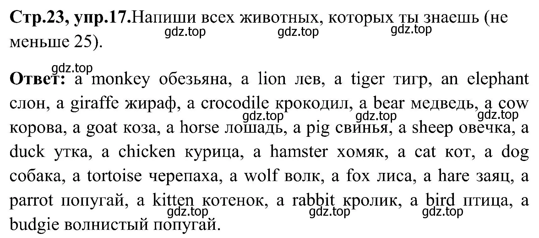 Решение номер 17 (страница 23) гдз по английскому языку 3 класс Верещагина, Притыкина, рабочая тетрадь