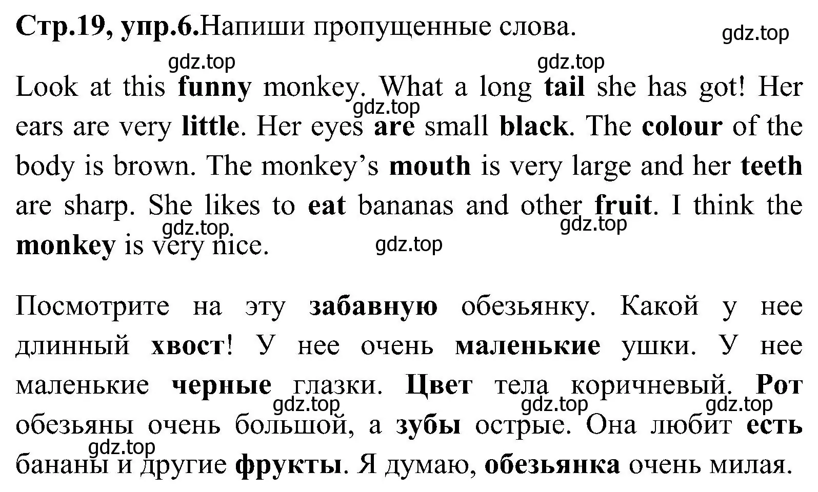 Решение номер 6 (страница 19) гдз по английскому языку 3 класс Верещагина, Притыкина, рабочая тетрадь