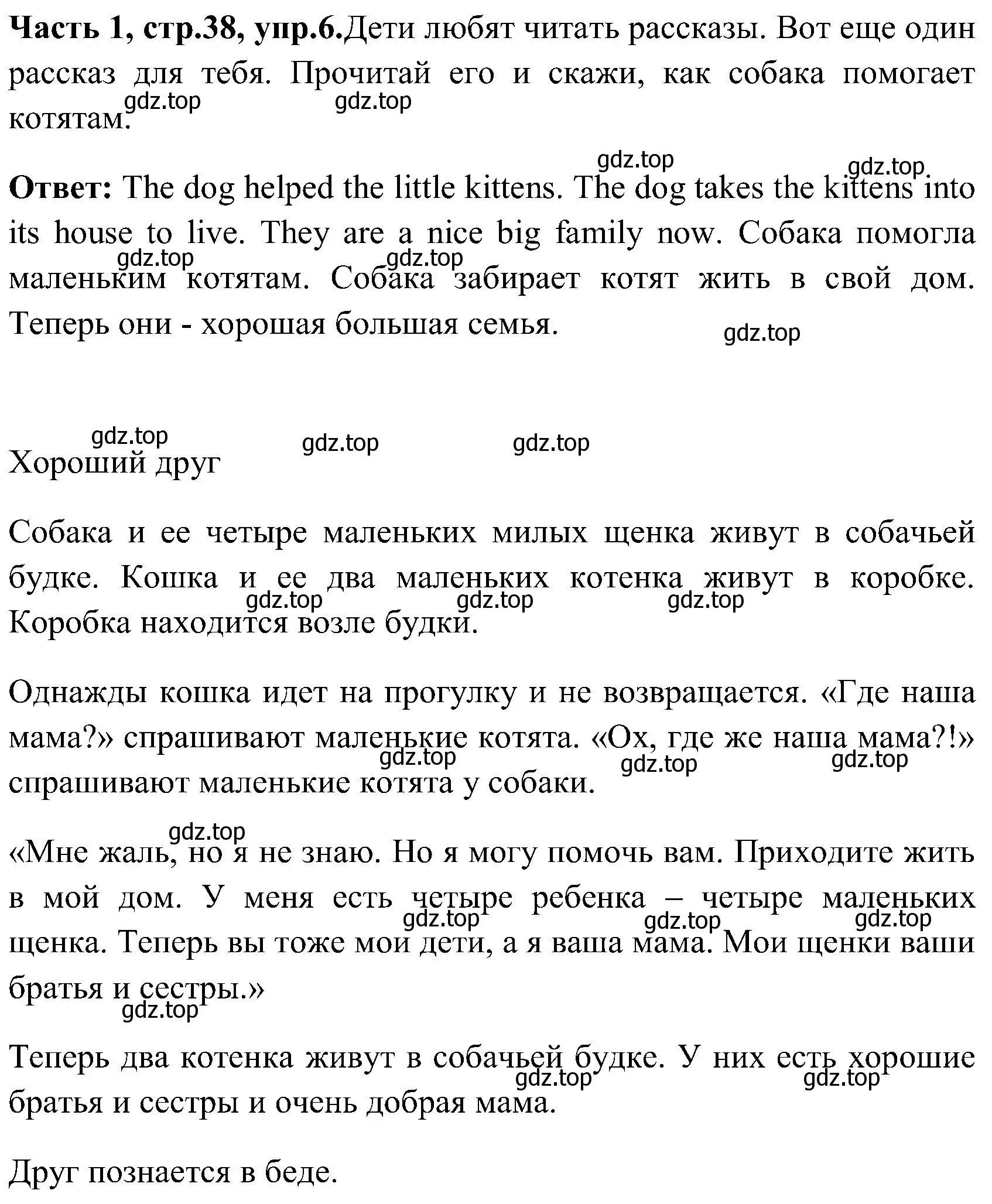 Решение номер 6 (страница 38) гдз по английскому языку 3 класс Верещагина, Притыкина, учебник 1 часть