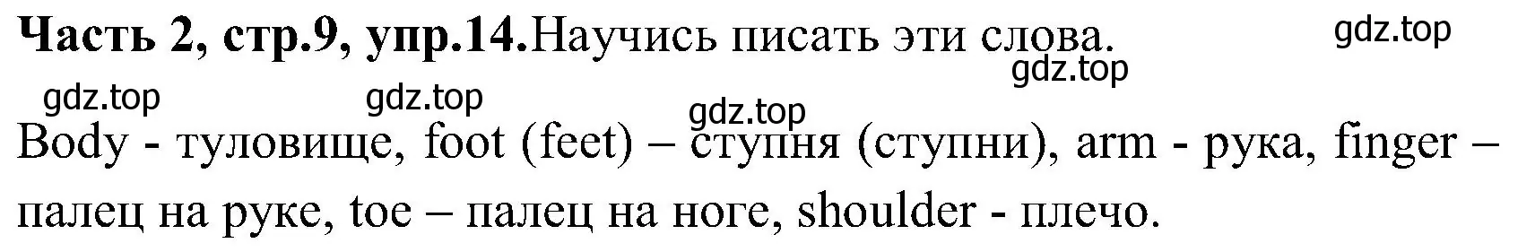 Решение номер 14 (страница 9) гдз по английскому языку 3 класс Верещагина, Притыкина, учебник 2 часть