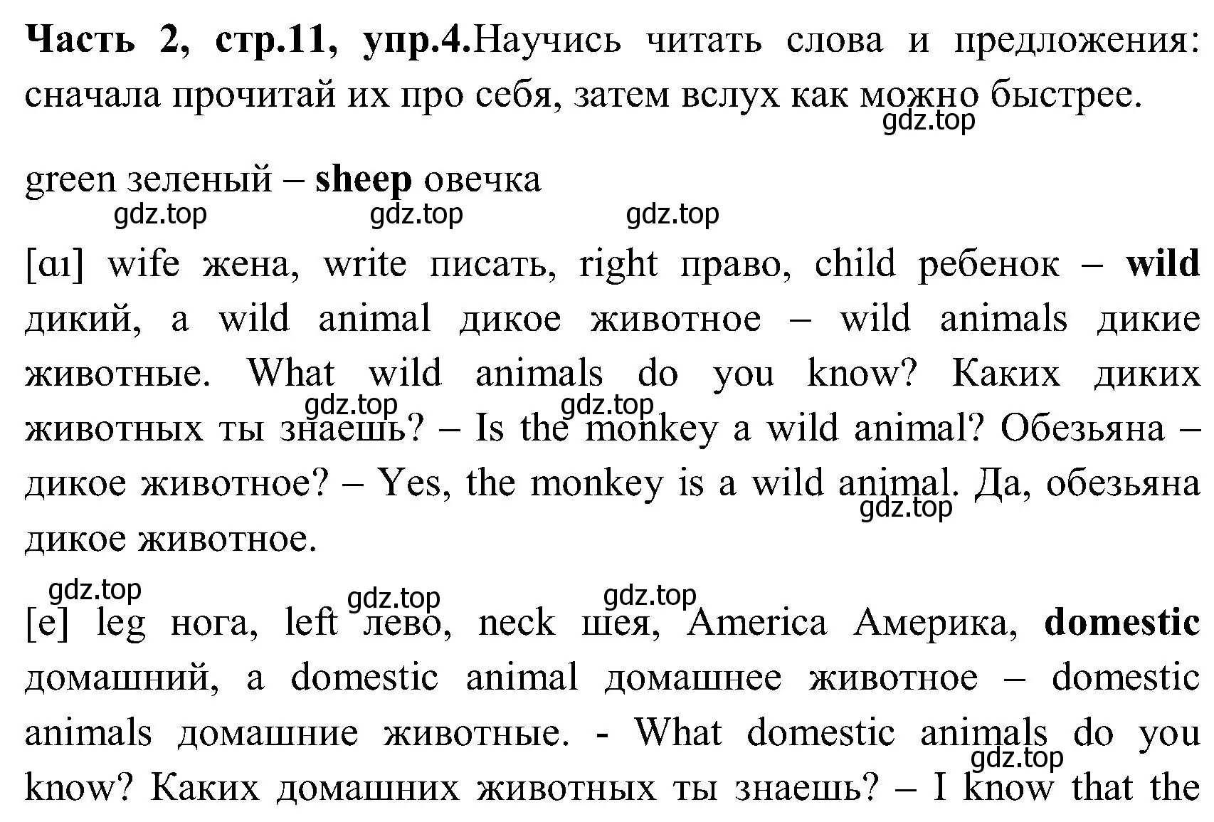 Решение номер 4 (страница 11) гдз по английскому языку 3 класс Верещагина, Притыкина, учебник 2 часть