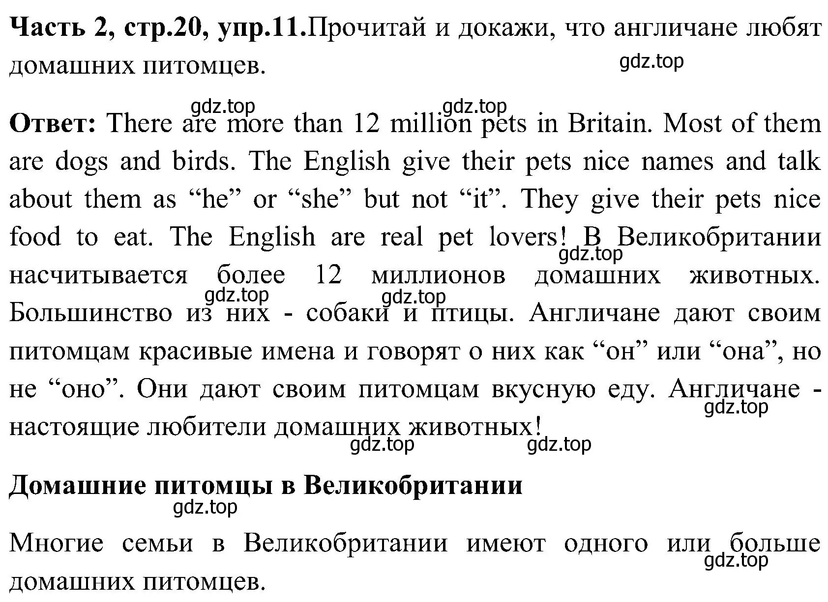 Решение номер 11 (страница 20) гдз по английскому языку 3 класс Верещагина, Притыкина, учебник 2 часть