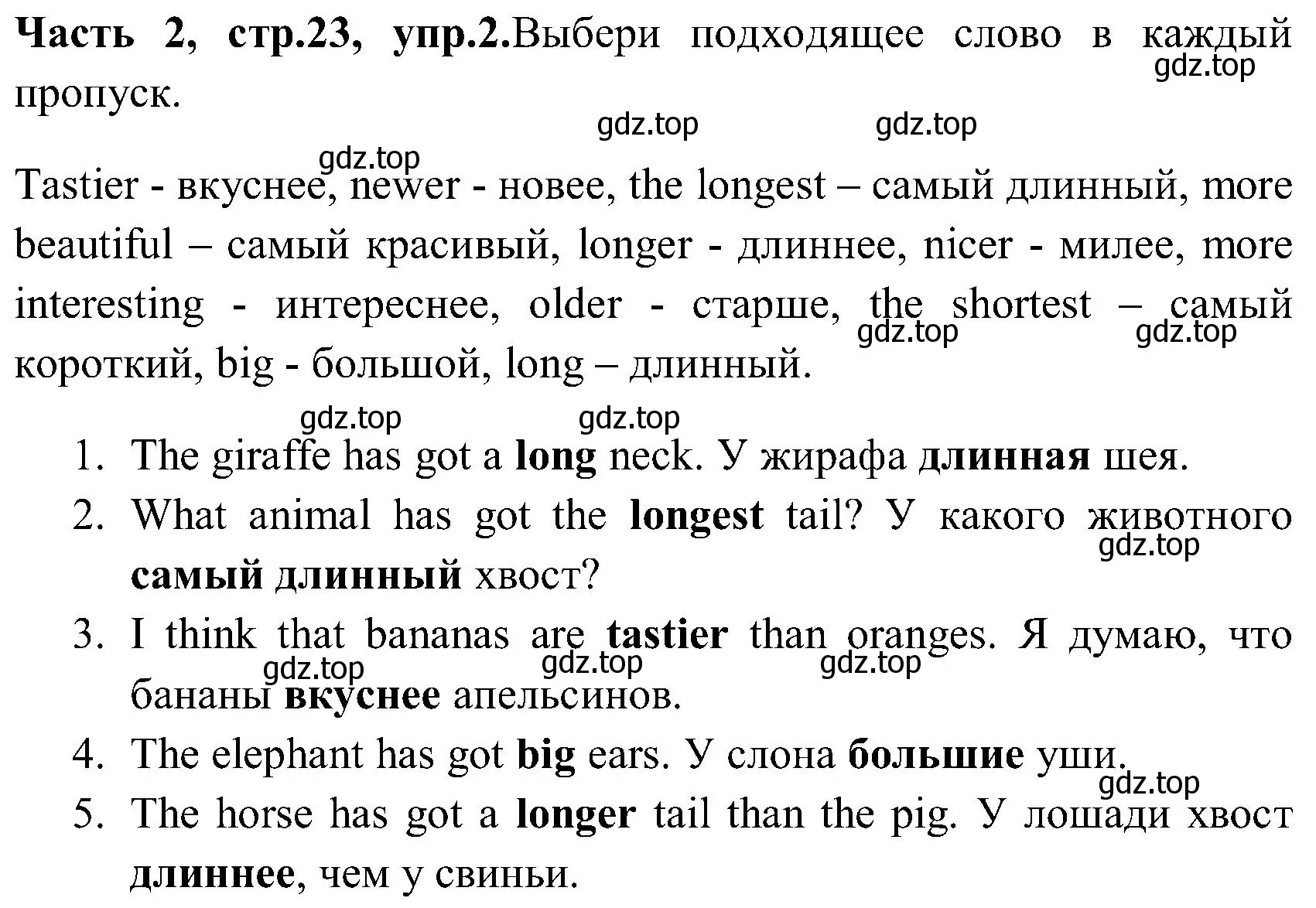 Решение номер 2 (страница 23) гдз по английскому языку 3 класс Верещагина, Притыкина, учебник 2 часть