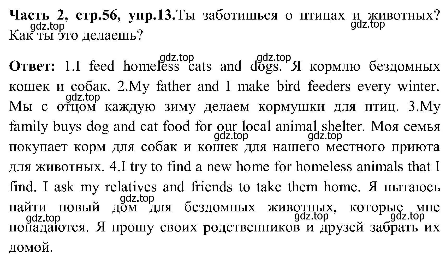 Решение номер 13 (страница 56) гдз по английскому языку 3 класс Верещагина, Притыкина, учебник 2 часть