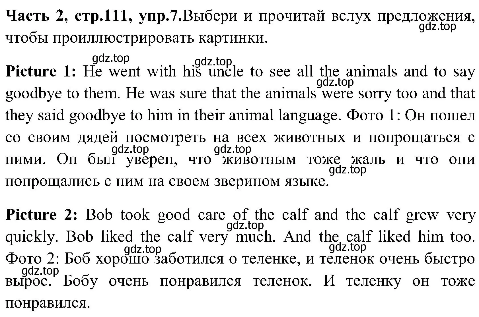 Решение номер 7 (страница 111) гдз по английскому языку 3 класс Верещагина, Притыкина, учебник 2 часть