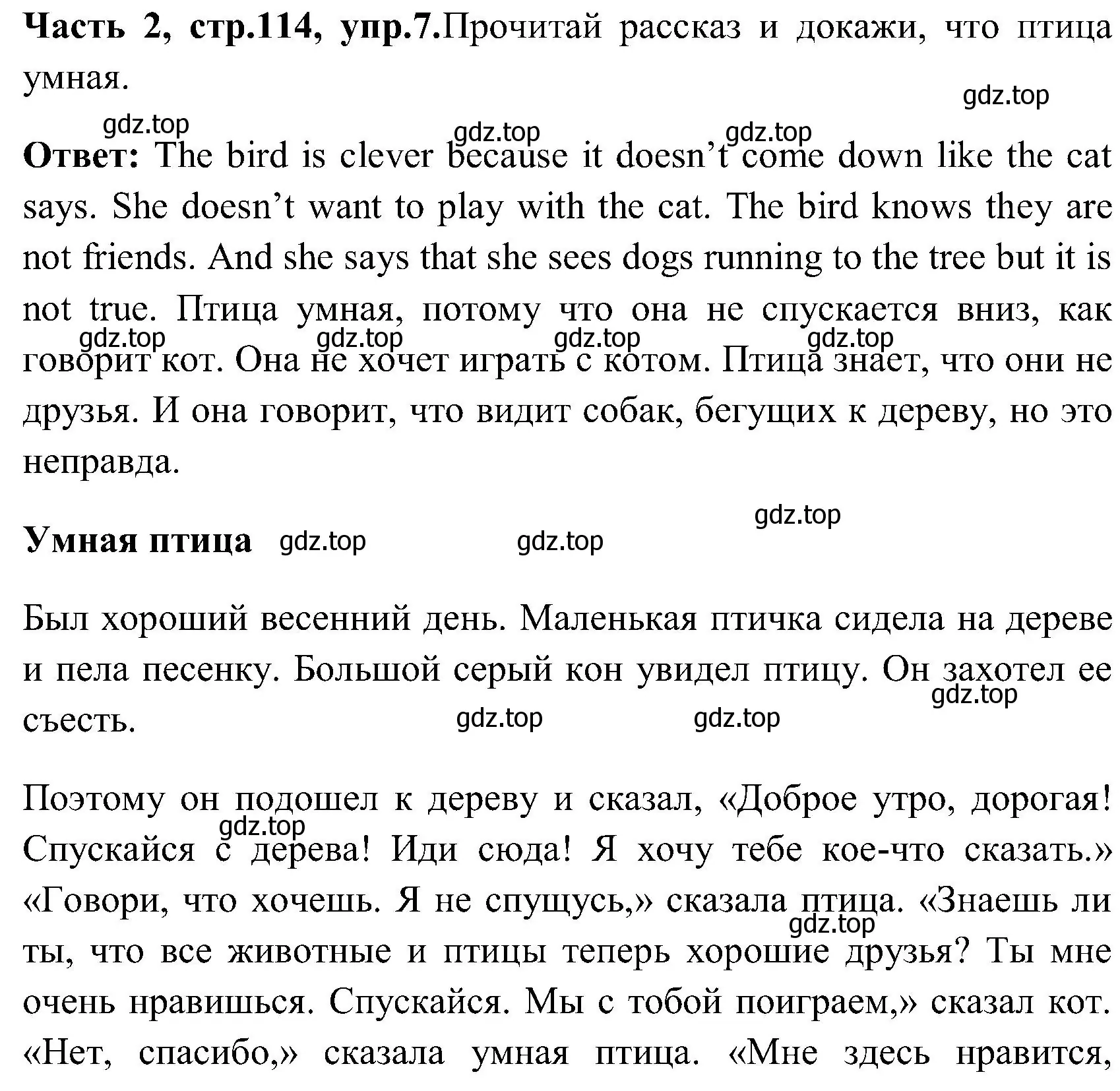 Решение номер 7 (страница 114) гдз по английскому языку 3 класс Верещагина, Притыкина, учебник 2 часть