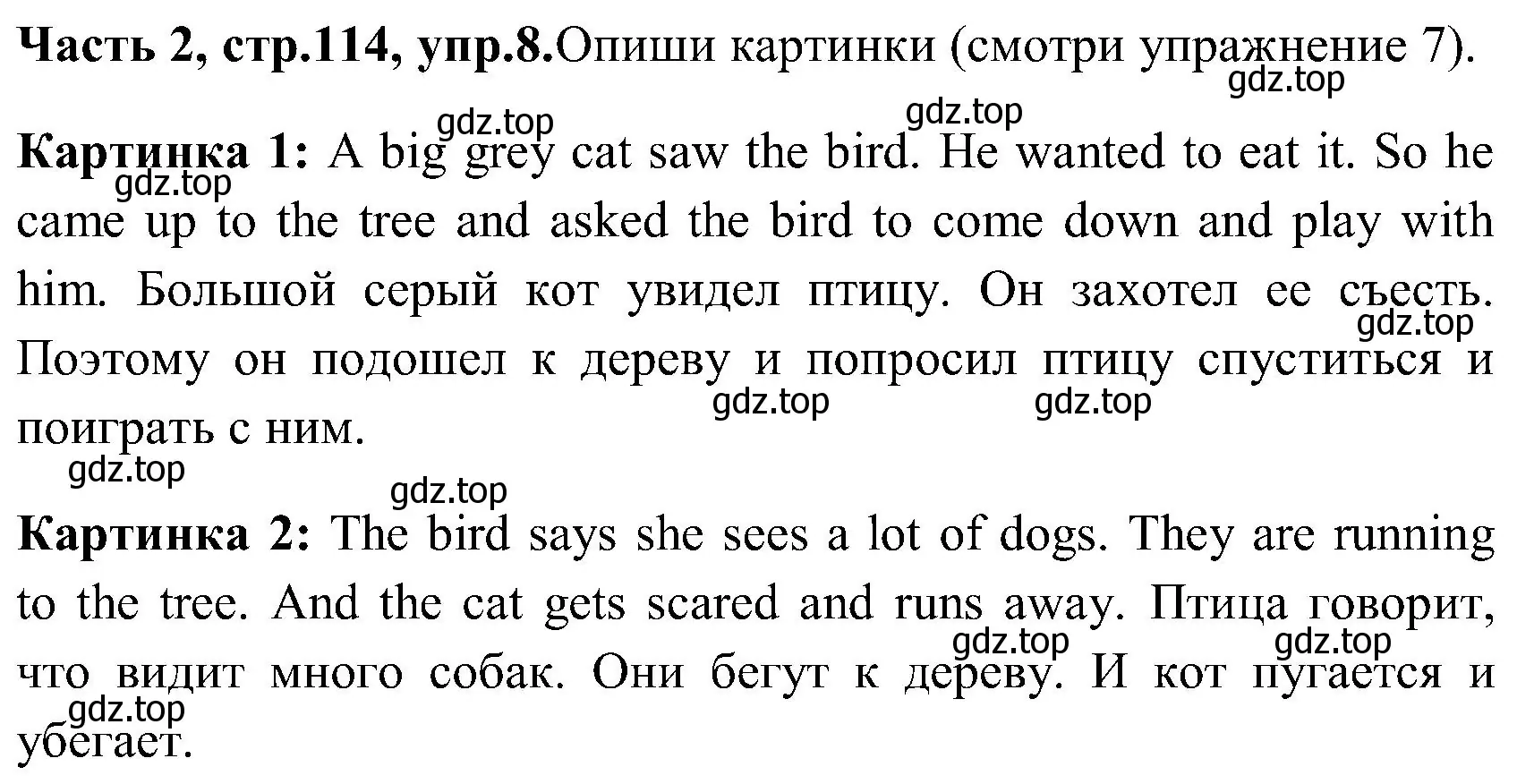 Решение номер 8 (страница 114) гдз по английскому языку 3 класс Верещагина, Притыкина, учебник 2 часть