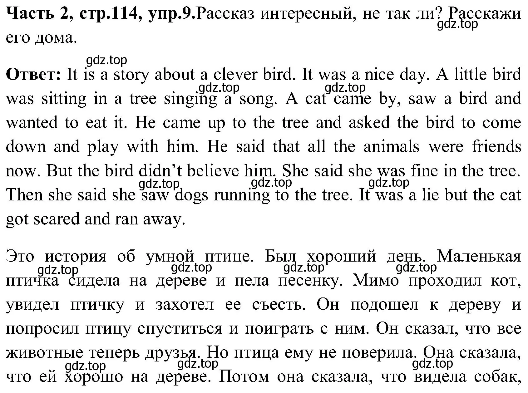 Решение номер 9 (страница 114) гдз по английскому языку 3 класс Верещагина, Притыкина, учебник 2 часть