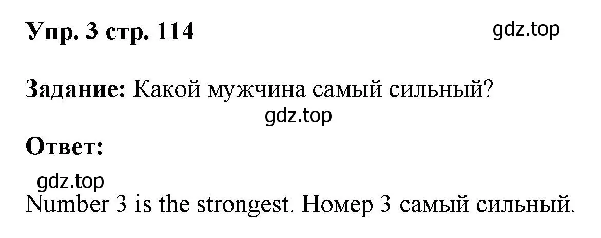 Решение номер 3 (страница 114) гдз по английскому языку 4 класс Баранова, Дули, учебник 1 часть