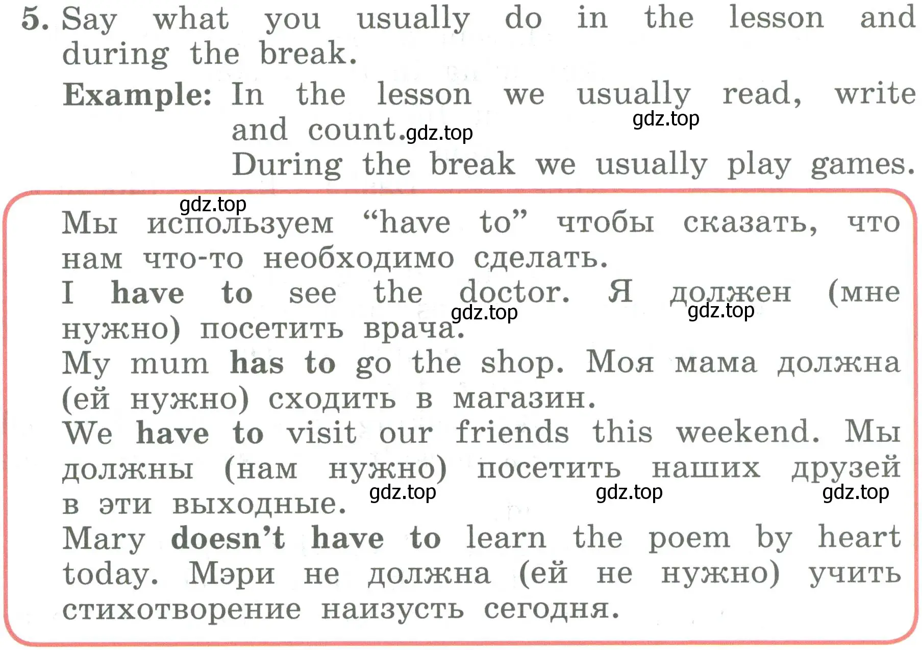 Условие номер 5 (страница 113) гдз по английскому языку 4 класс Биболетова, Денисенко, учебник