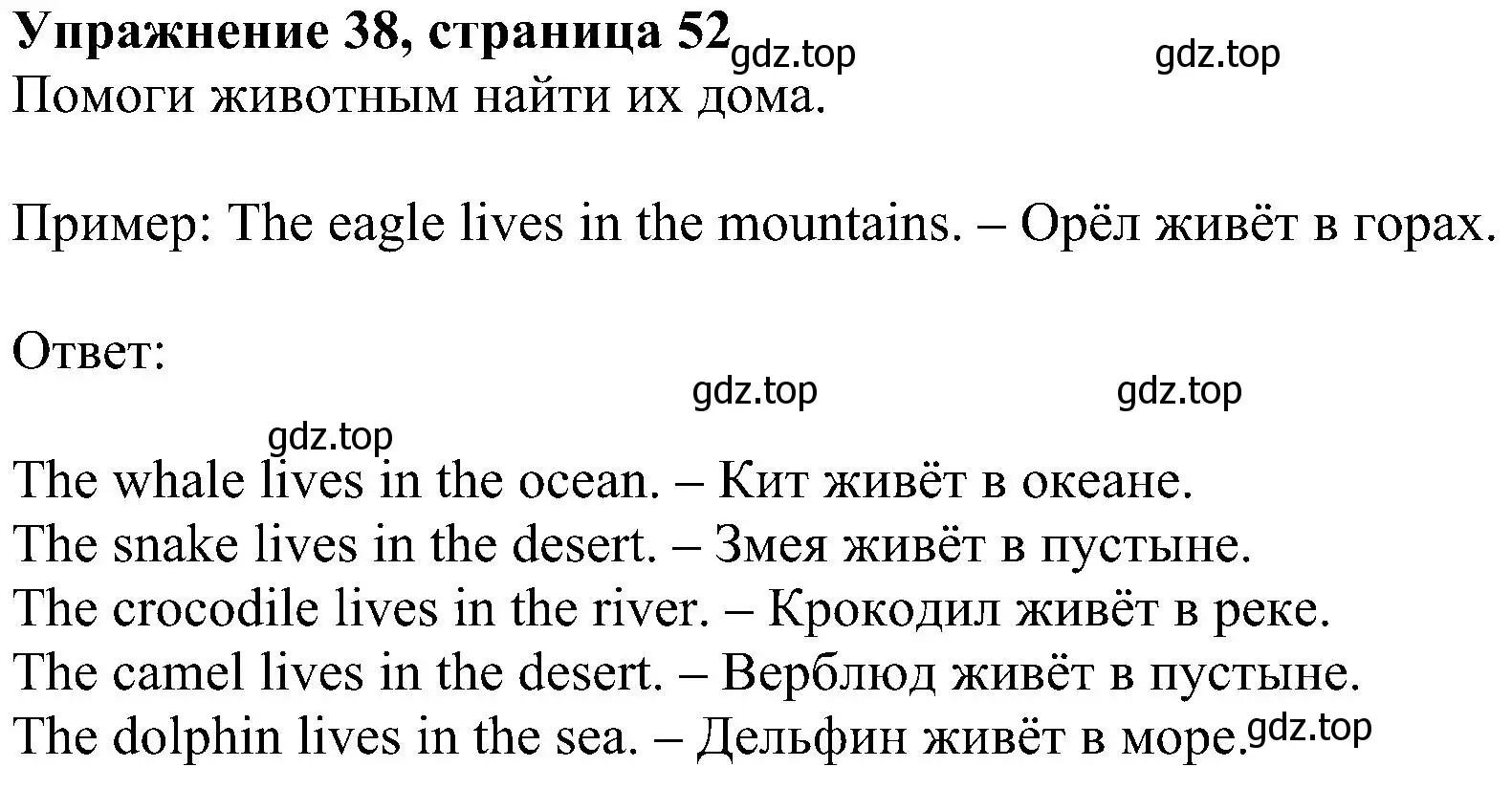 Решение номер 38 (страница 52) гдз по английскому языку 4 класс Биболетова, Денисенко, учебник