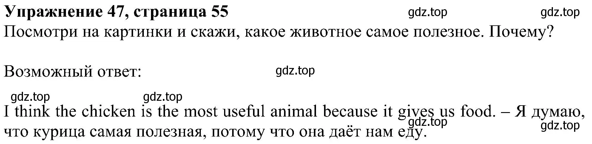 Решение номер 47 (страница 55) гдз по английскому языку 4 класс Биболетова, Денисенко, учебник