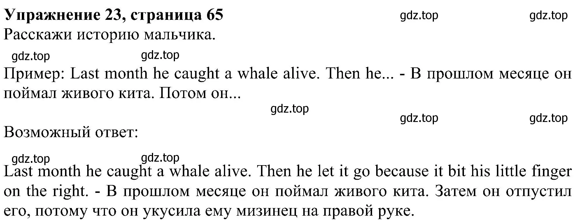 Решение номер 23 (страница 65) гдз по английскому языку 4 класс Биболетова, Денисенко, учебник