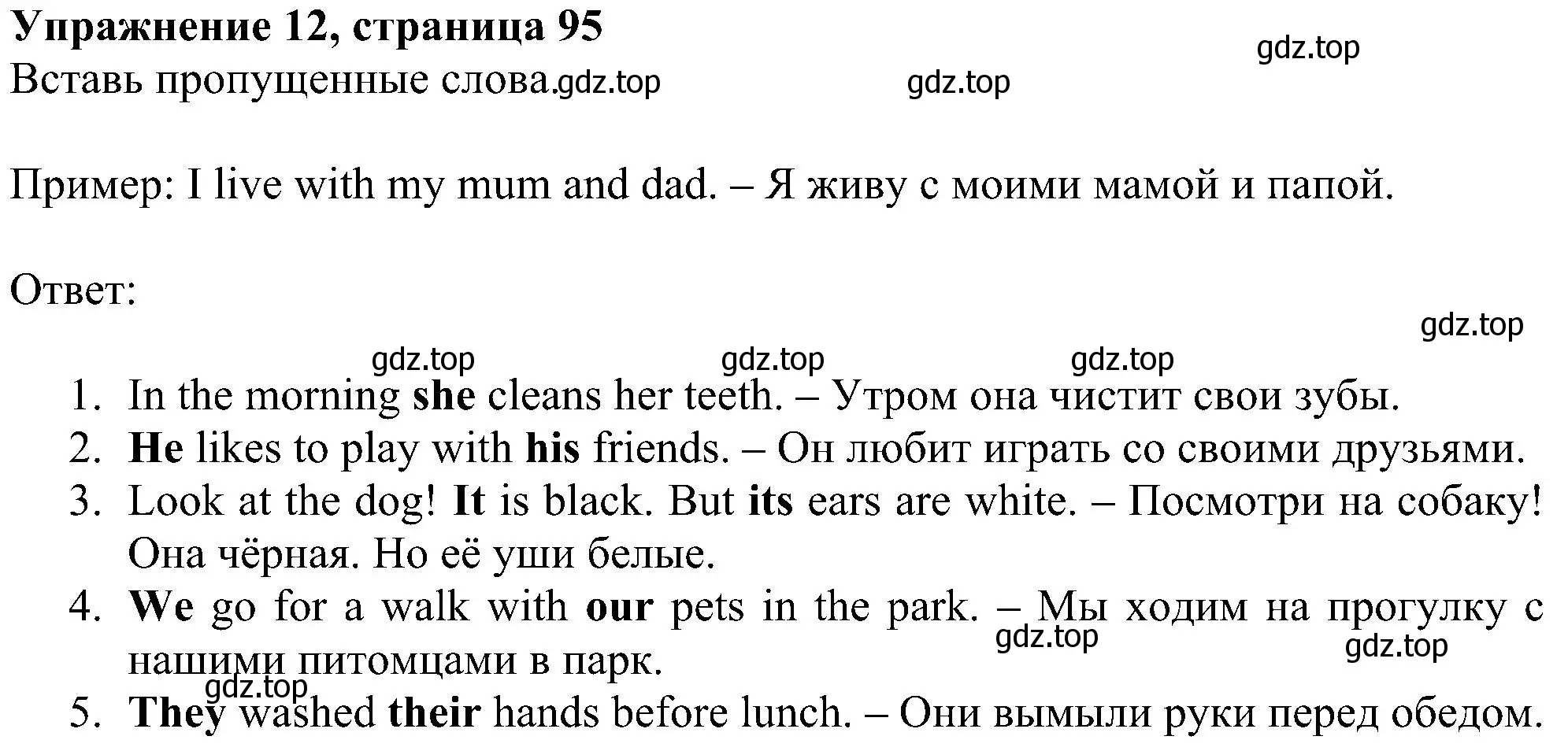 Решение номер 12 (страница 95) гдз по английскому языку 4 класс Биболетова, Денисенко, учебник